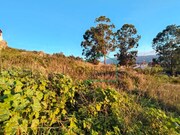 Terreno R�stico - Vila Praia de �ncora, Caminha, Viana do Castelo - Miniatura: 9/9