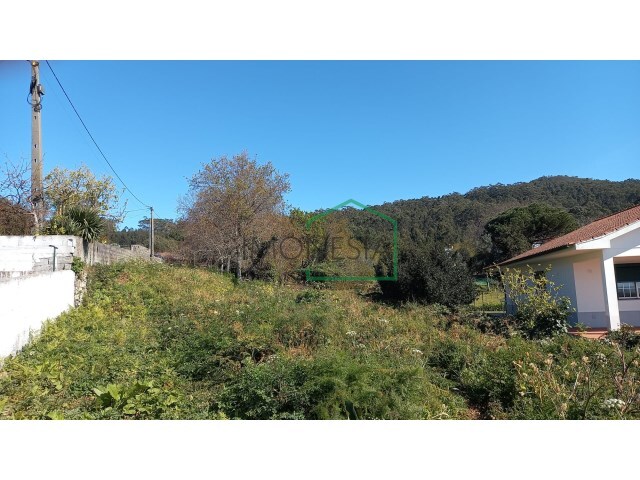 Terreno R�stico - Afife, Viana do Castelo, Viana do Castelo - Imagem grande