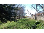 Terreno R�stico - Afife, Viana do Castelo, Viana do Castelo - Miniatura: 5/9