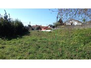 Terreno R�stico - Afife, Viana do Castelo, Viana do Castelo - Miniatura: 6/9