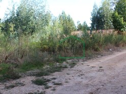 Terreno R�stico - Venade, Caminha, Viana do Castelo
