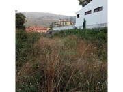Terreno R�stico - �ncora, Caminha, Viana do Castelo - Miniatura: 1/6