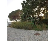 Terreno R�stico - �ncora, Caminha, Viana do Castelo - Miniatura: 4/6
