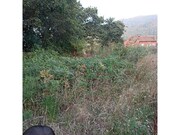 Terreno R�stico - �ncora, Caminha, Viana do Castelo - Miniatura: 5/6