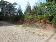 Terreno R�stico - Venade, Caminha, Viana do Castelo - Miniatura: 3/3