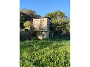 Quinta - Vila Praia de �ncora, Caminha, Viana do Castelo - Miniatura: 5/9