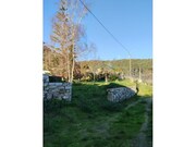 Quinta - Vila Praia de �ncora, Caminha, Viana do Castelo - Miniatura: 6/9