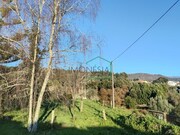 Quinta - Vila Praia de �ncora, Caminha, Viana do Castelo - Miniatura: 7/9