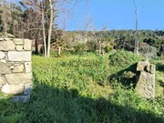 Quinta - Vila Praia de �ncora, Caminha, Viana do Castelo - Miniatura: 8/9
