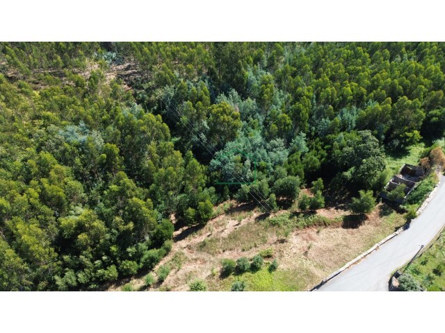 Terreno R�stico - Nogueira, Viana do Castelo, Viana do Castelo - Imagem grande