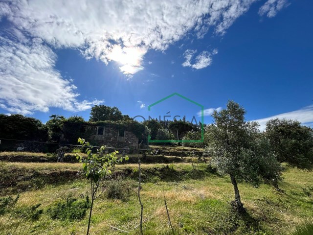 Ruina - Dem, Caminha, Viana do Castelo - Imagem grande