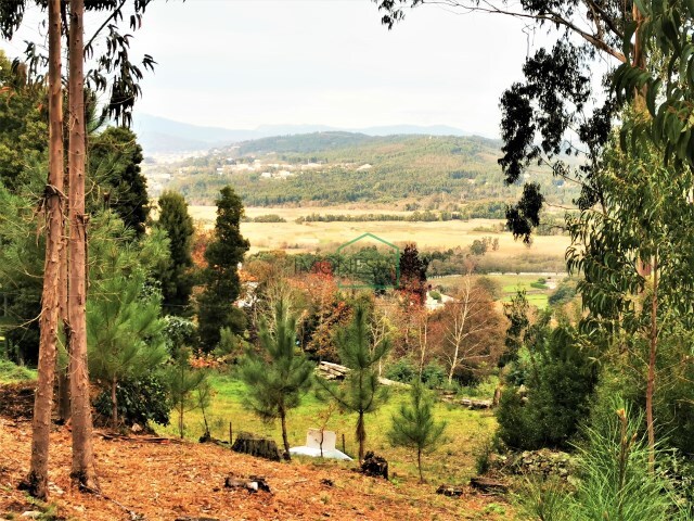 Terreno R�stico - Caminha, Caminha, Viana do Castelo - Imagem grande