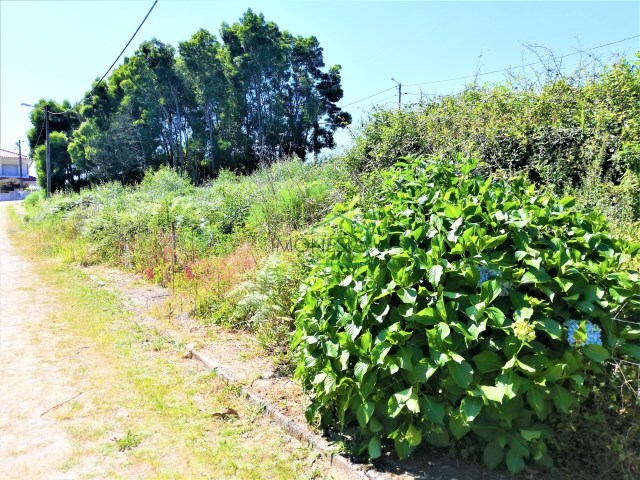 Terreno R�stico - Afife, Viana do Castelo, Viana do Castelo - Imagem grande