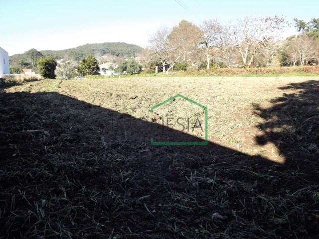 Terreno R�stico - Afife, Viana do Castelo, Viana do Castelo - Imagem grande