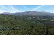 Terreno R�stico - Nogueira, Viana do Castelo, Viana do Castelo - Miniatura: 6/8