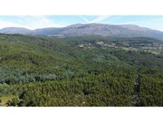 Terreno R�stico - Nogueira, Viana do Castelo, Viana do Castelo - Miniatura: 8/8