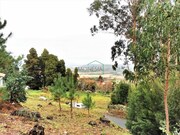Terreno R�stico - Caminha, Caminha, Viana do Castelo - Miniatura: 3/7