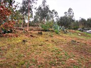 Terreno R�stico - Caminha, Caminha, Viana do Castelo - Miniatura: 7/7