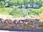 Terreno R�stico - Afife, Viana do Castelo, Viana do Castelo - Miniatura: 3/3