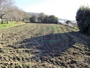 Terreno R�stico - Afife, Viana do Castelo, Viana do Castelo - Miniatura: 1/4