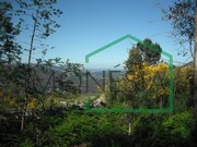 Terreno R�stico - Sopo, Vila Nova de Cerveira, Viana do Castelo - Miniatura: 1/2
