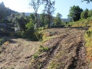 Terreno R�stico - Moledo, Caminha, Viana do Castelo - Miniatura: 2/9