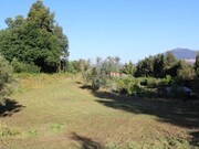 Terreno R�stico - Moledo, Caminha, Viana do Castelo - Miniatura: 9/9