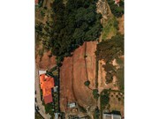 Terreno R�stico - Moledo, Caminha, Viana do Castelo - Miniatura: 6/9