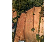 Terreno R�stico - Moledo, Caminha, Viana do Castelo - Miniatura: 7/9