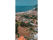 Terreno R�stico - Moledo, Caminha, Viana do Castelo - Miniatura: 8/9