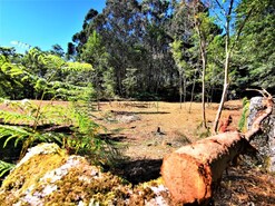 Terreno R�stico - Seixas, Caminha, Viana do Castelo