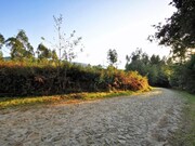Terreno R�stico - Argela, Caminha, Viana do Castelo - Miniatura: 1/9