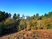 Terreno R�stico - Argela, Caminha, Viana do Castelo - Miniatura: 5/9