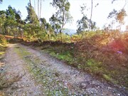 Terreno R�stico - Argela, Caminha, Viana do Castelo - Miniatura: 7/9