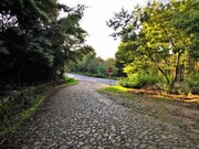 Terreno R�stico - Argela, Caminha, Viana do Castelo - Miniatura: 9/9