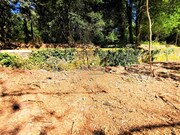 Terreno R�stico - Seixas, Caminha, Viana do Castelo - Miniatura: 6/9