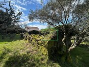 Moradia - Montaria, Viana do Castelo, Viana do Castelo - Miniatura: 4/9
