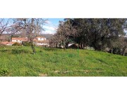 Terreno R�stico - �ncora, Caminha, Viana do Castelo - Miniatura: 1/5