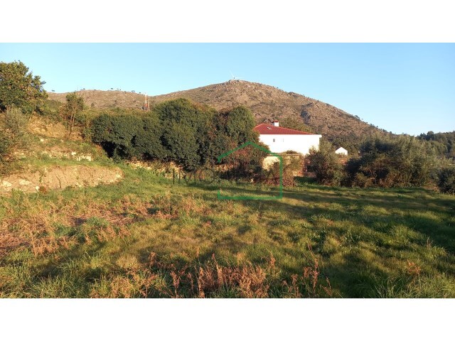 Terreno R�stico - Dem, Caminha, Viana do Castelo - Imagem grande