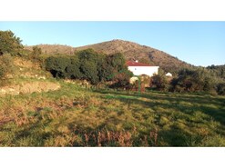 Terreno R�stico - Dem, Caminha, Viana do Castelo