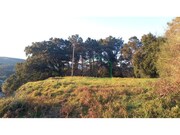 Terreno R�stico - Dem, Caminha, Viana do Castelo - Miniatura: 3/9