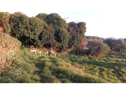 Terreno R�stico - Dem, Caminha, Viana do Castelo - Miniatura: 4/9