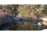 Terreno R�stico - Dem, Caminha, Viana do Castelo - Miniatura: 7/9