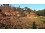 Terreno R�stico - Dem, Caminha, Viana do Castelo - Miniatura: 9/9