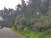 Terreno R�stico - Caminha, Caminha, Viana do Castelo - Miniatura: 2/3