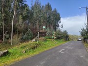 Terreno R�stico - Caminha, Caminha, Viana do Castelo - Miniatura: 3/3
