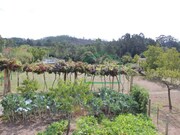 Quinta T4 - Seixas, Caminha, Viana do Castelo - Miniatura: 4/9