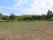 Quinta T4 - Seixas, Caminha, Viana do Castelo - Miniatura: 8/9
