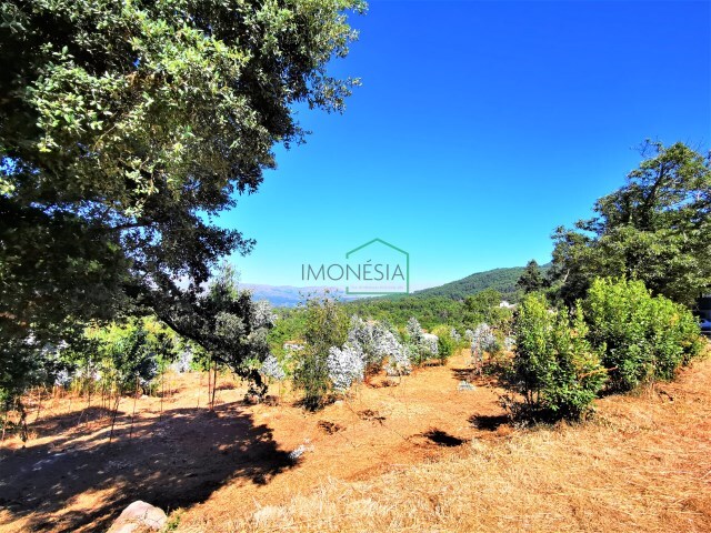 Terreno R�stico - Freixieiro de Soutelo, Viana do Castelo, Viana do Castelo - Imagem grande