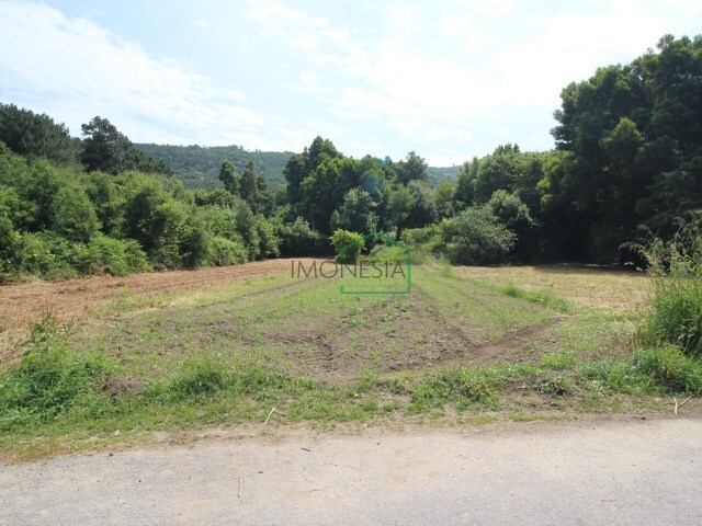 Terreno R�stico - Moledo, Caminha, Viana do Castelo - Imagem grande
